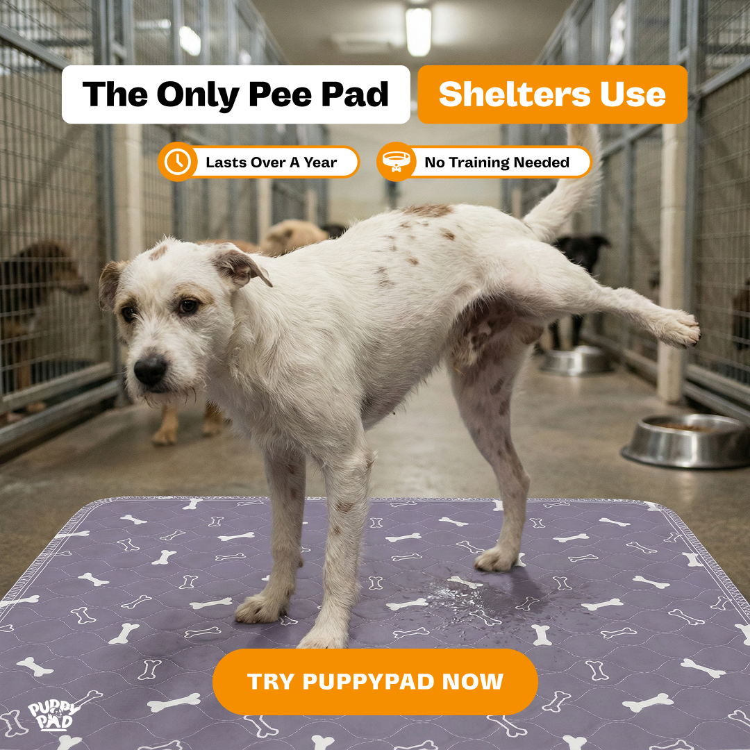 PuppyPad Facebook ad