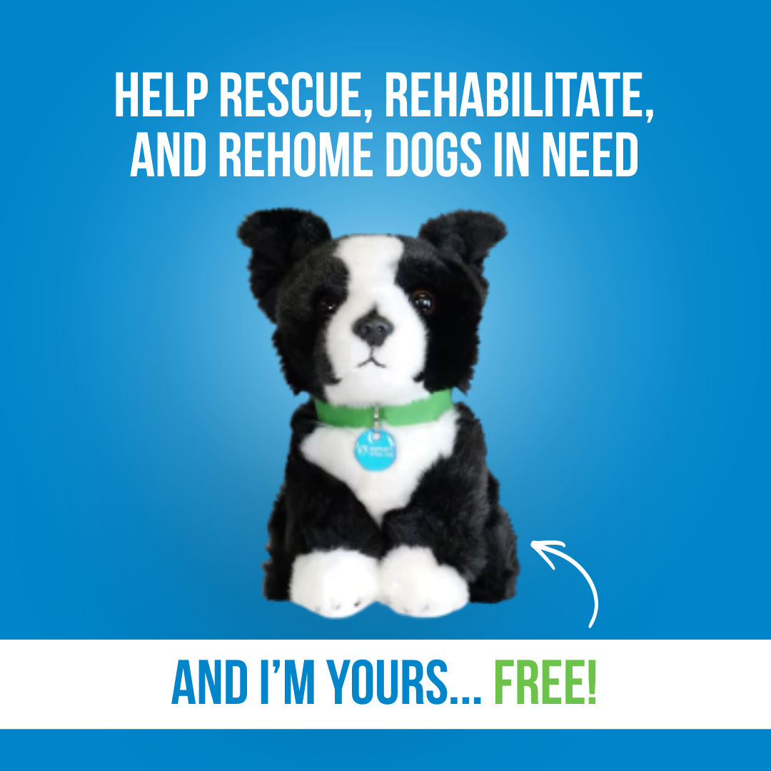 RSPCA Victoria Facebook ad