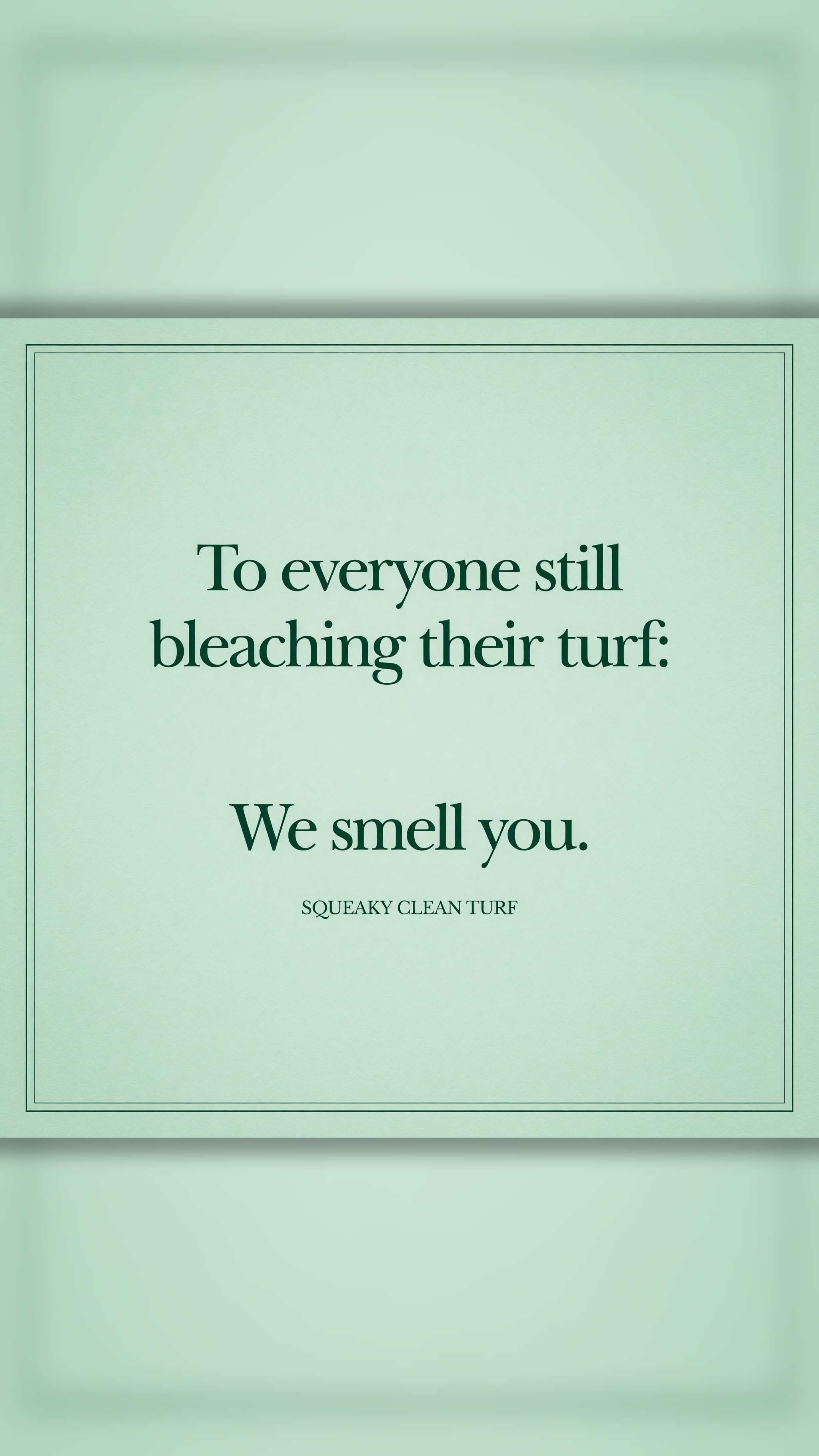 Squeaky Clean Turf Cleaner Facebook ad: Stop Bleaching, Start Squeaky Clean