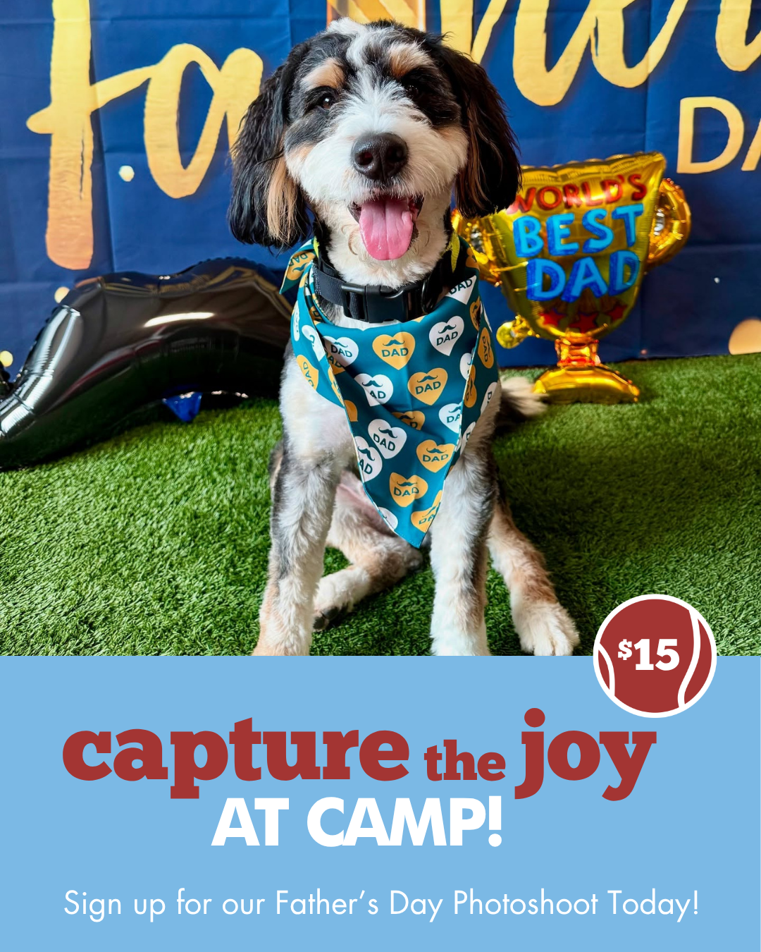 Camp Bow Wow Crestwood Facebook ad: Dog Care Services in Crestwood, MO | Camp Bow Wow