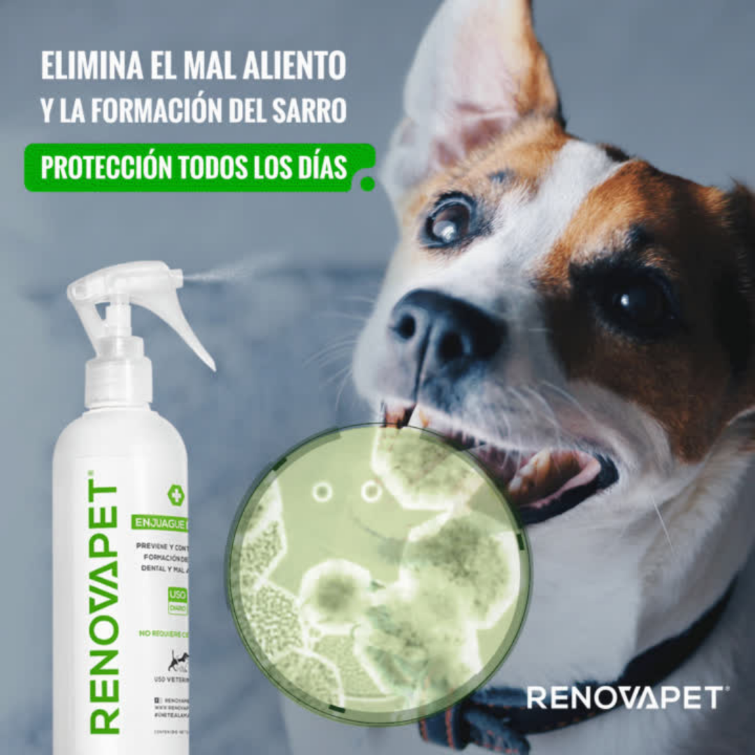 PetyPup Facebook ad
