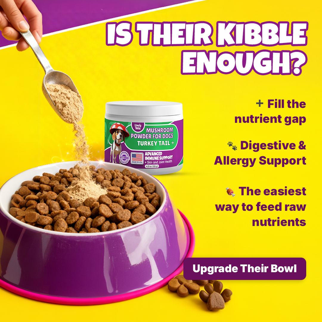 Lively Tails Facebook ad: All-Natural Mushroom Blend for Dog Health