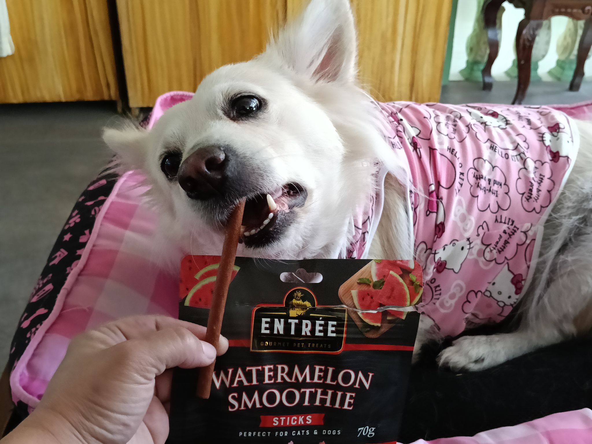 Entrée Gourmet Pet Treats Facebook ad