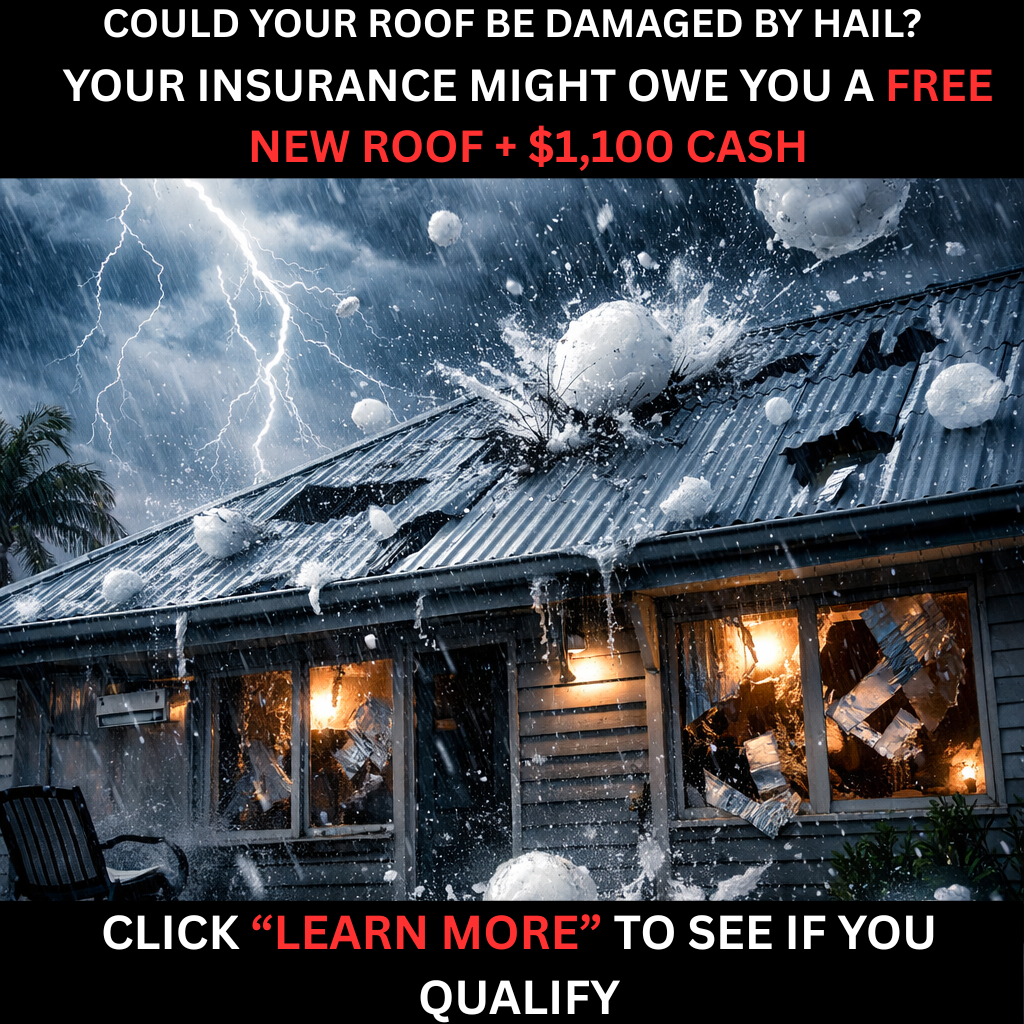 Dragon Roof Restoration Facebook ad