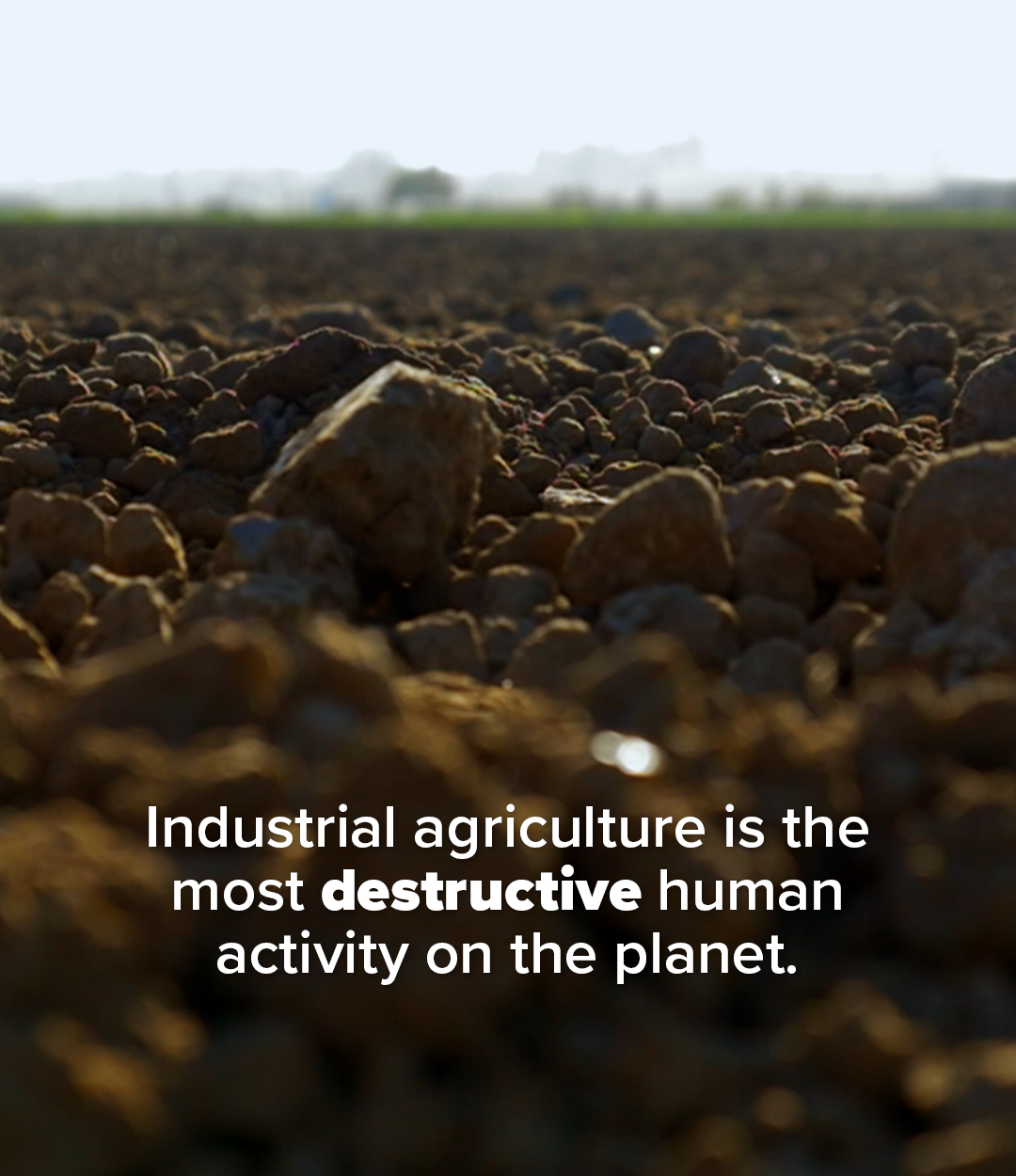 Food Revolution Network Facebook ad: This film could help save our world