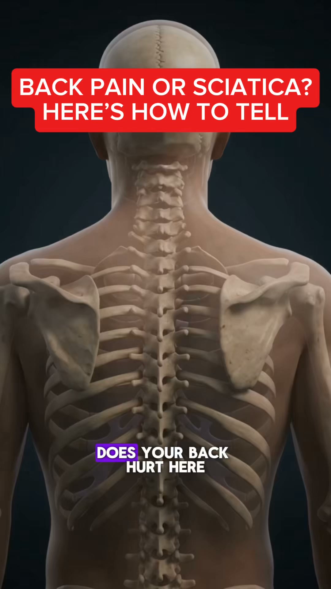 Spring lifee hubss Facebook ad: Tired of Living With Joint & Bone Pain?