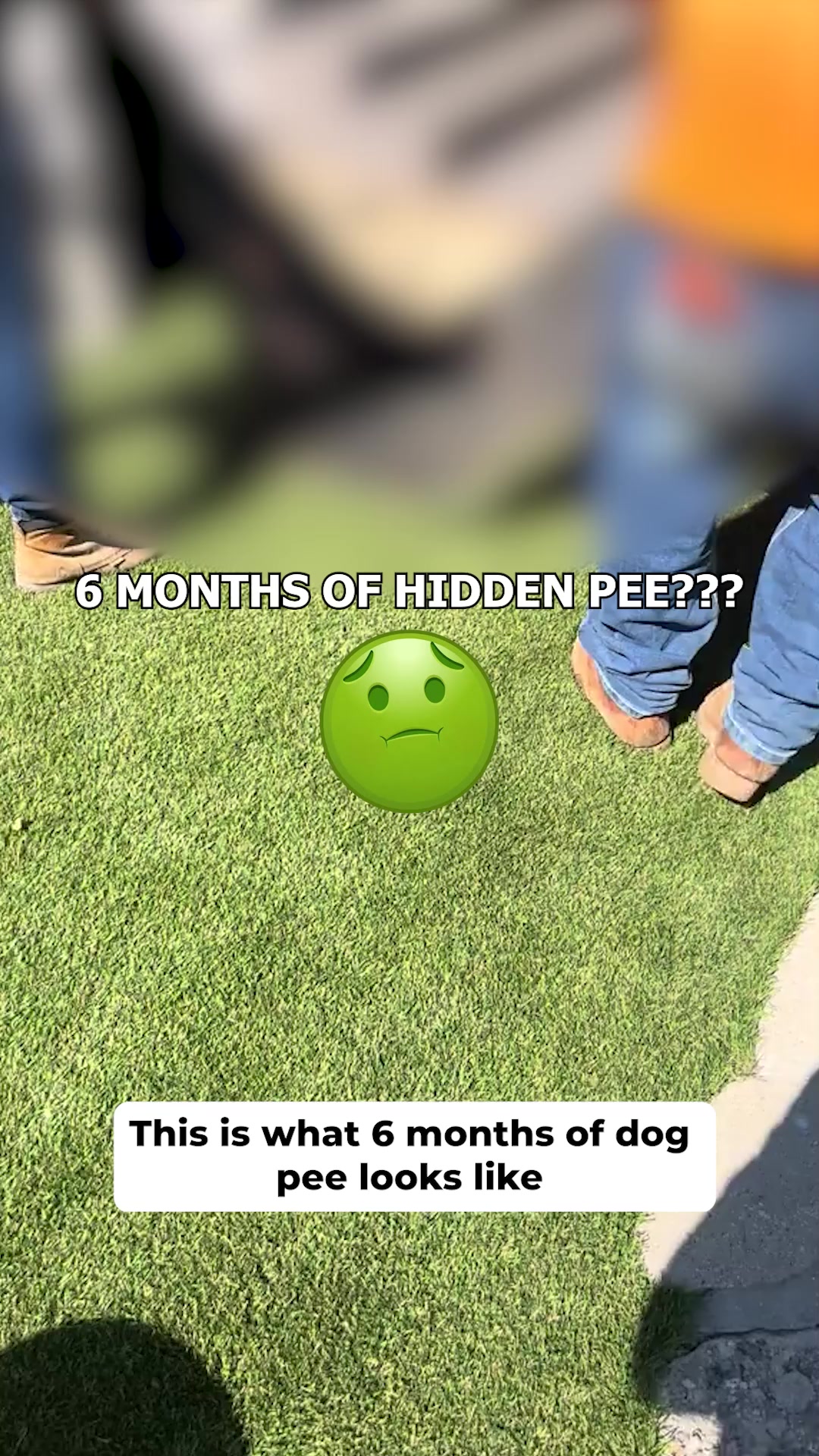 Pawlab Facebook ad: You Can’t Invite Guests Over While Your Backyard Stinks Of…