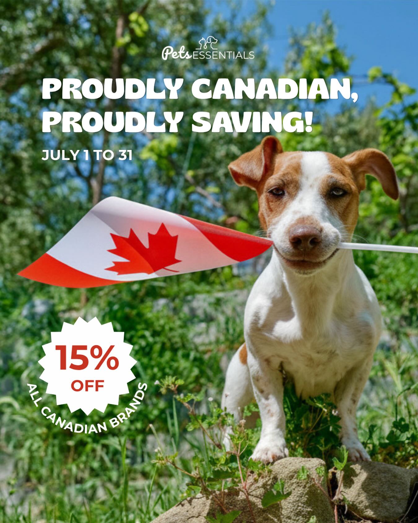 Pets Essentials Facebook ad