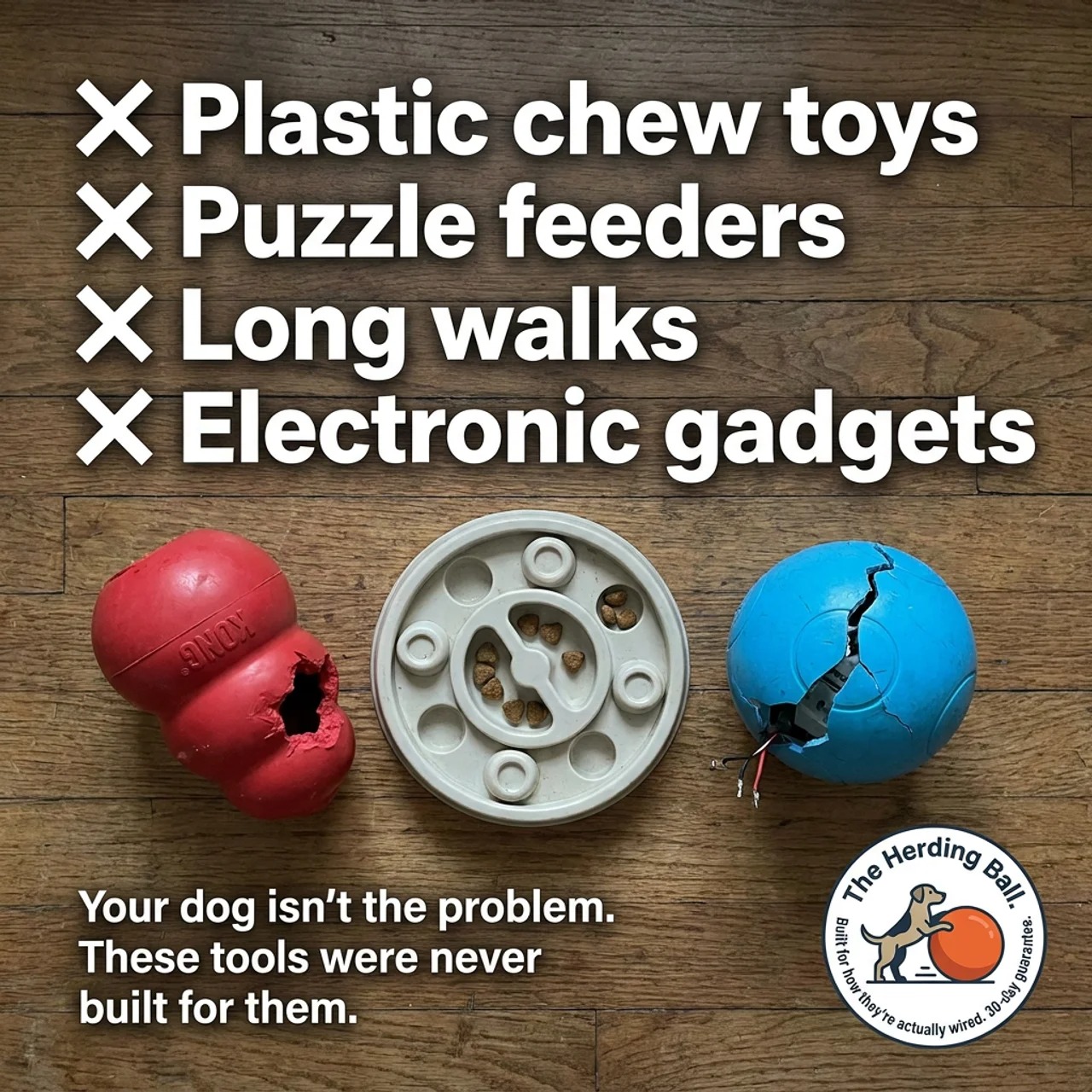 Nova’s Dog Club Facebook ad