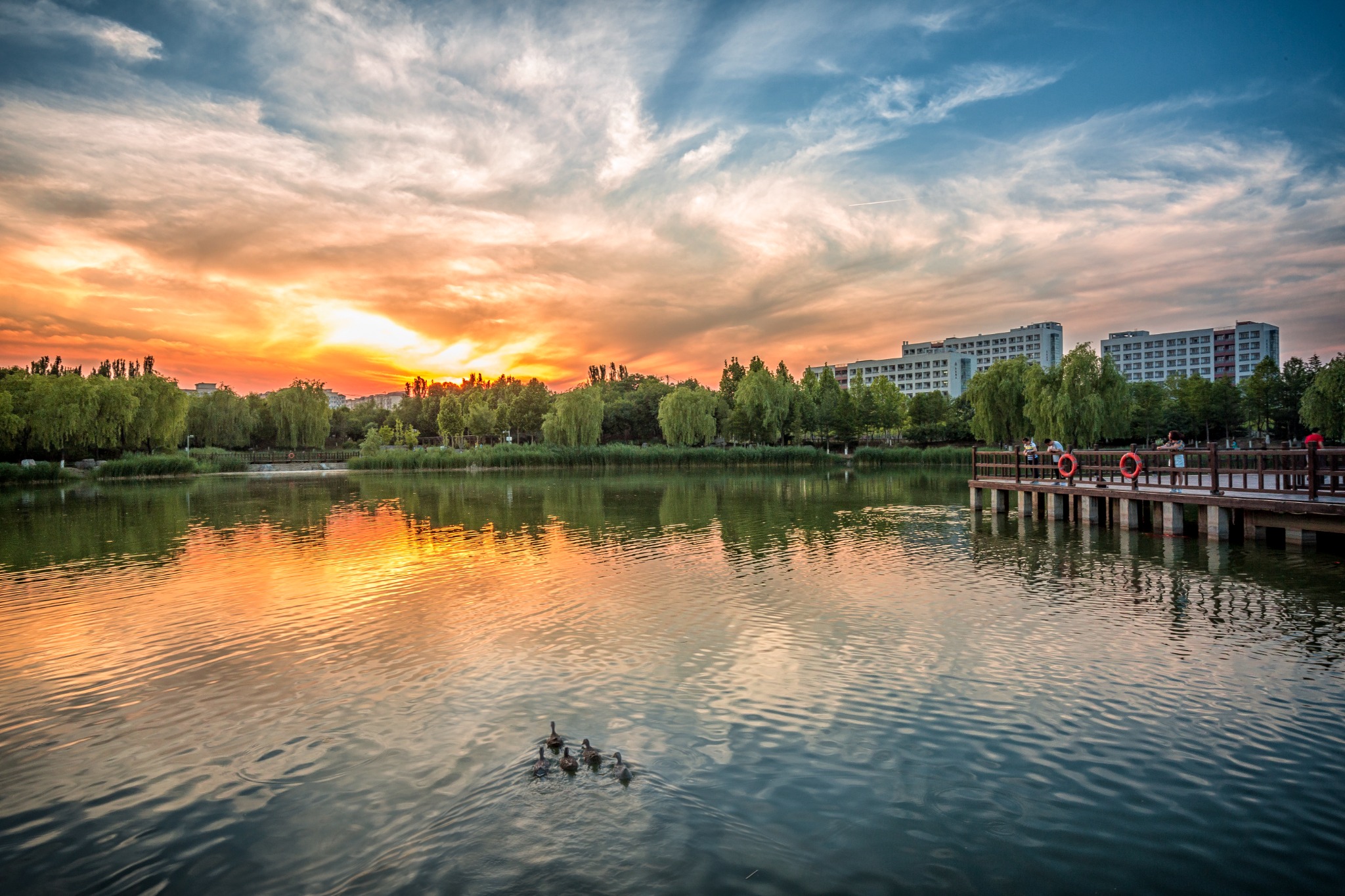 Beijing Institute of Technology Facebook ad: Official page of Beijing Institute of Technology shows…