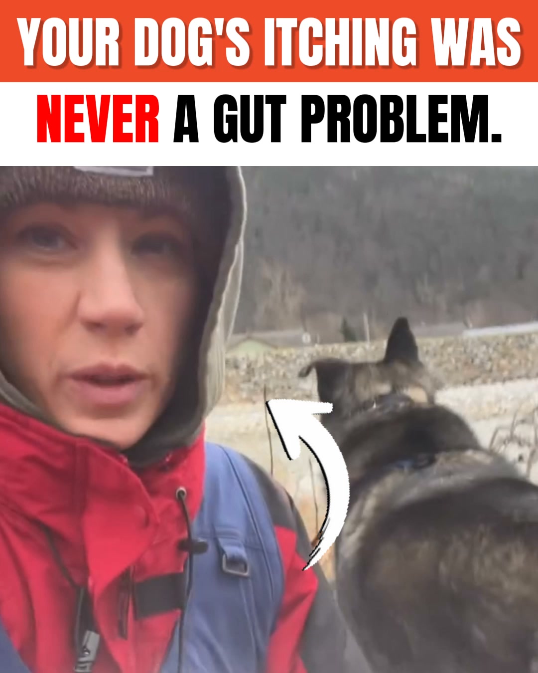 Tratez Facebook ad: The Layer Probiotics Can't Reach