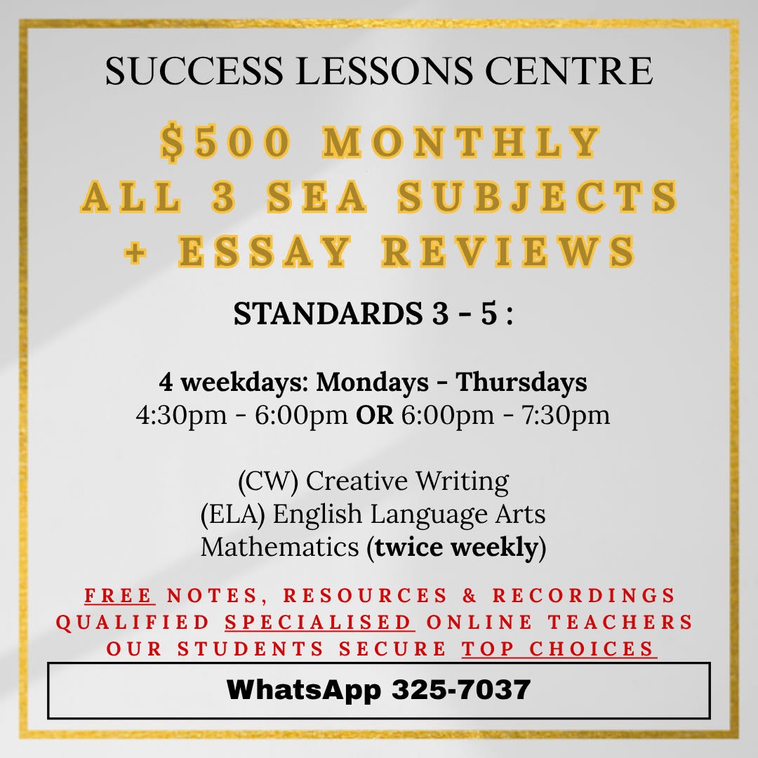 Success Lessons Centre Facebook ad