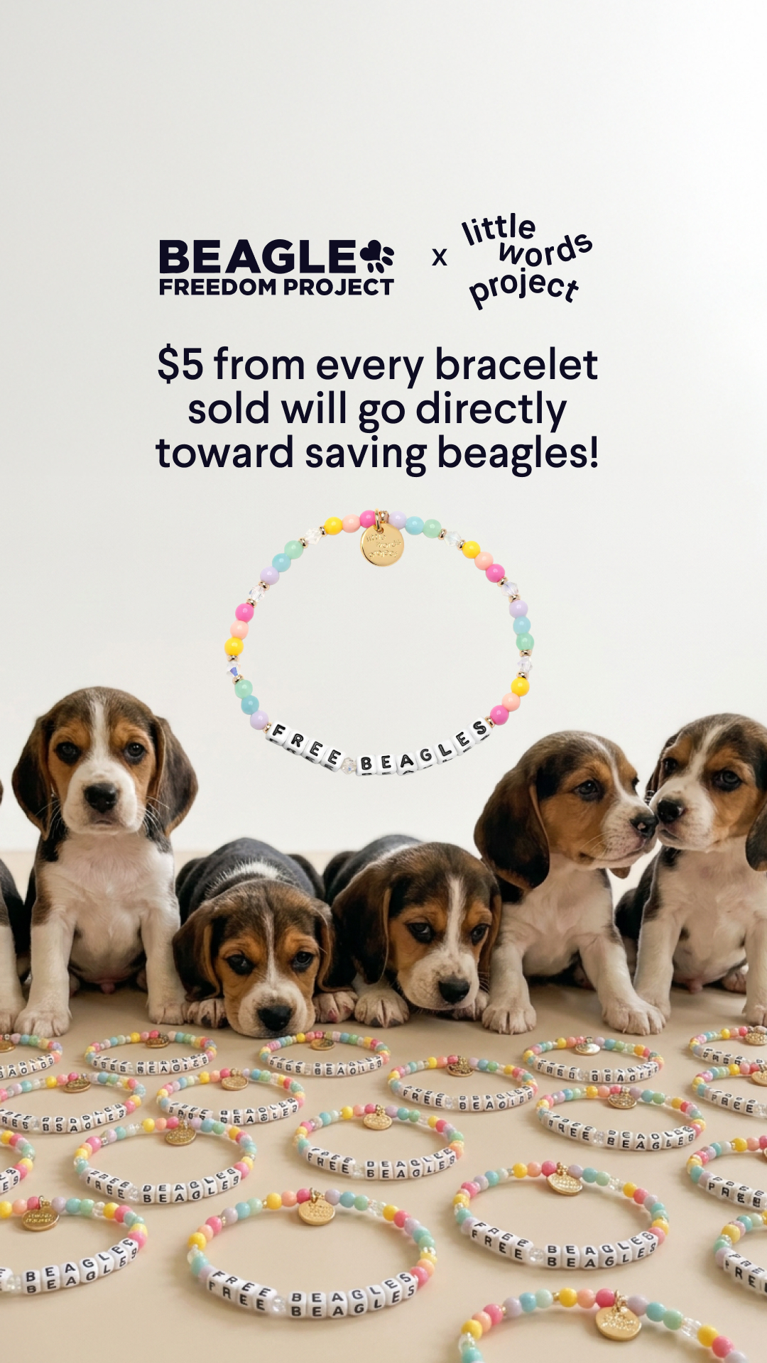 Beagle Freedom Project Facebook ad