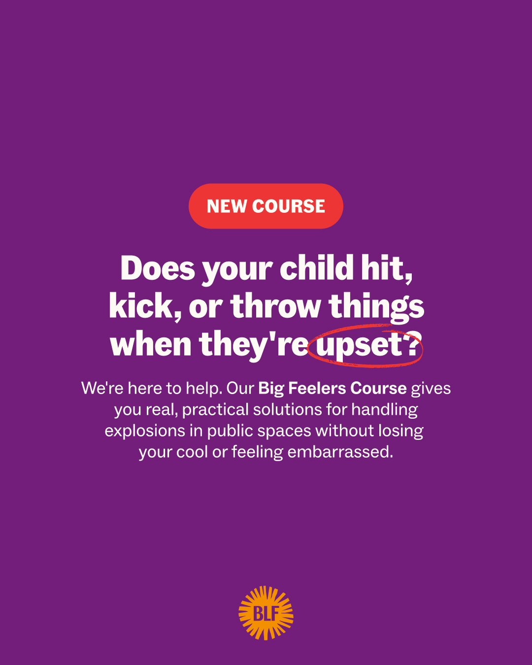 Big Little Feelings Facebook ad