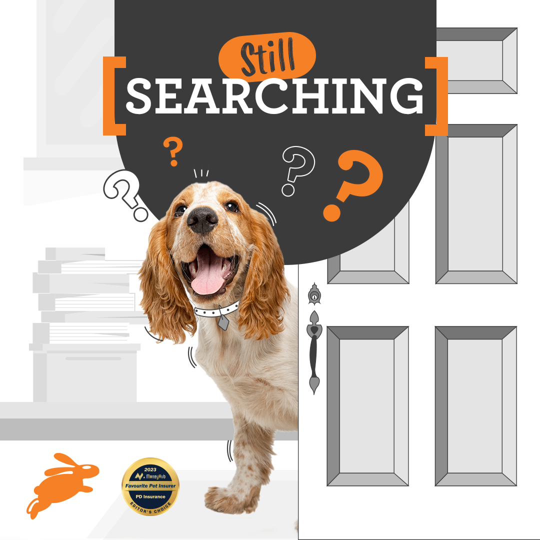 PD Insurance NZ Facebook ad