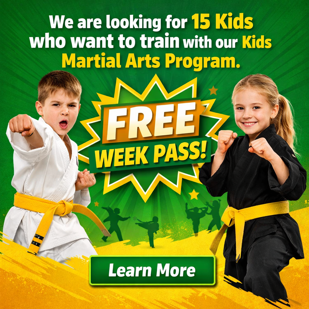 Premier Martial Arts Chambersburg Facebook ad