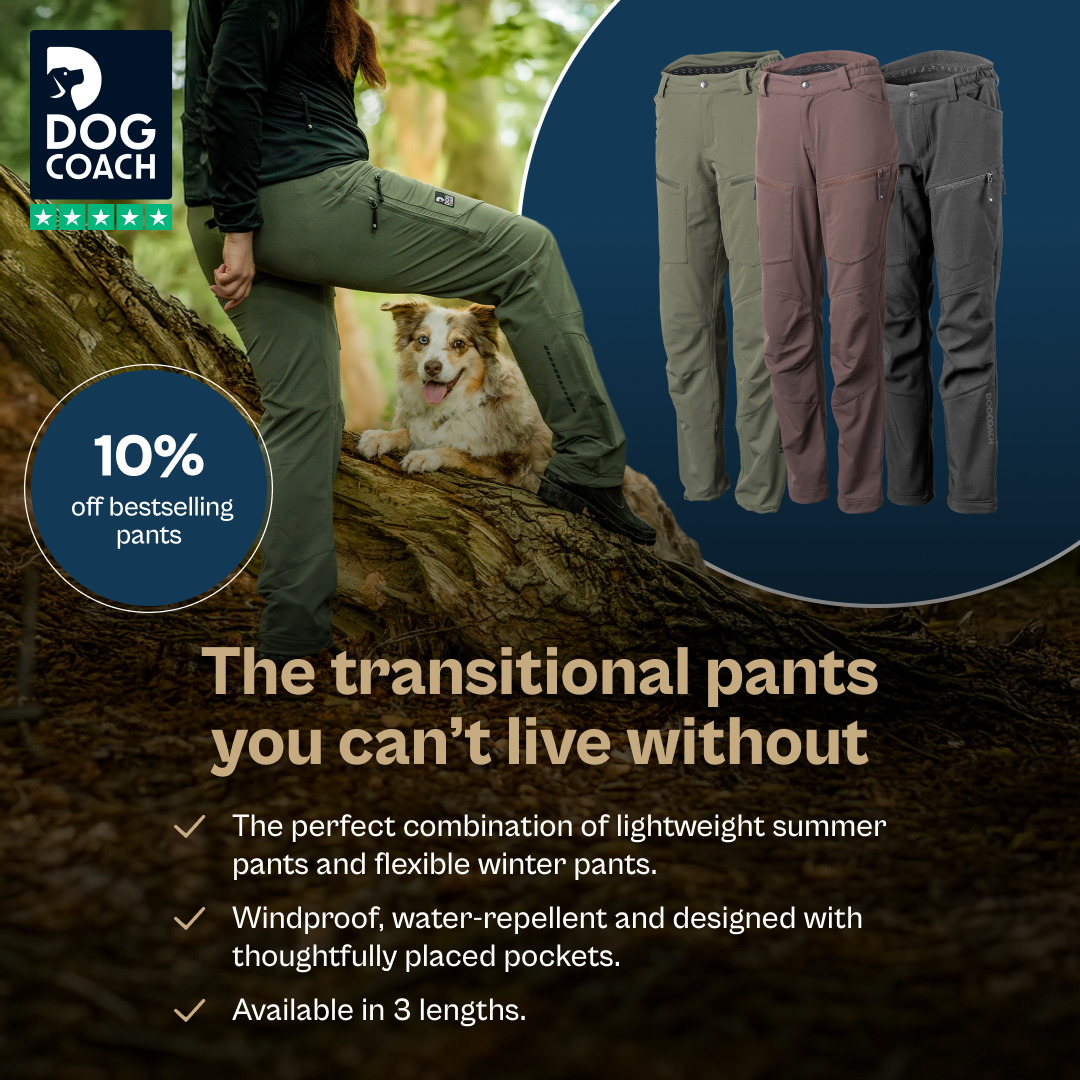 DogCoach Facebook ad