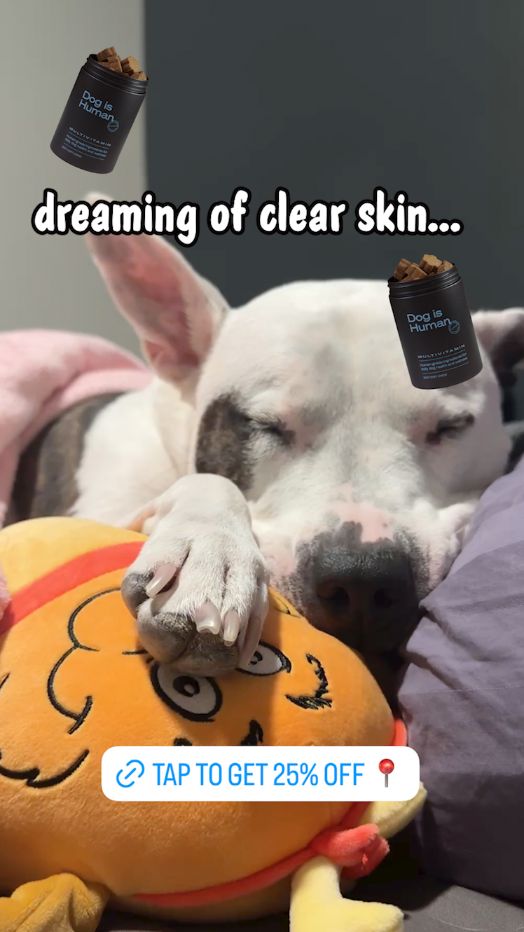 Dog is Human Facebook ad