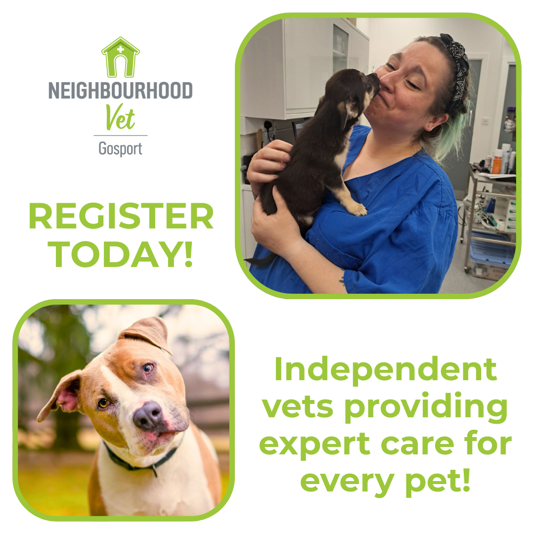 Neighbourhood Vet Gosport Facebook ad
