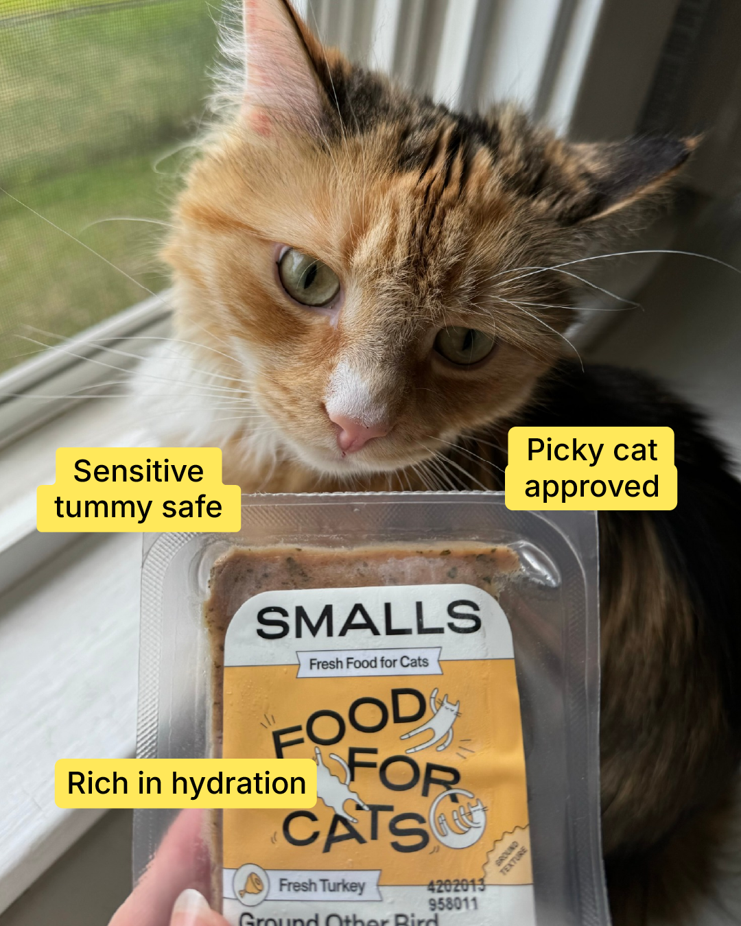 Smalls Facebook ad