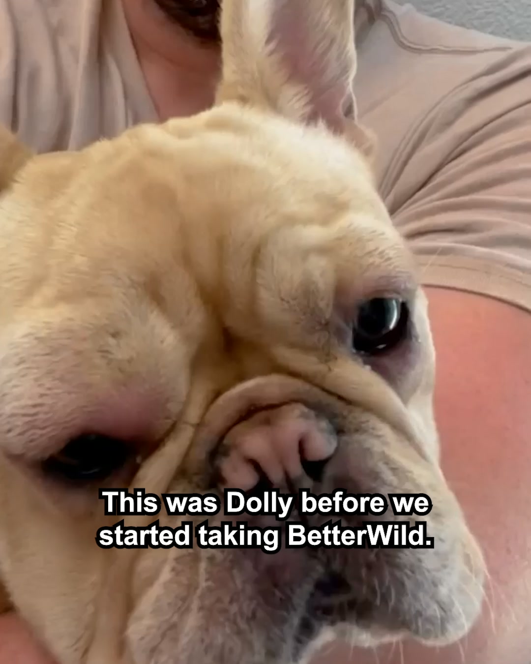The Downtown Aly Facebook ad: This Will Change Your Dog's Life