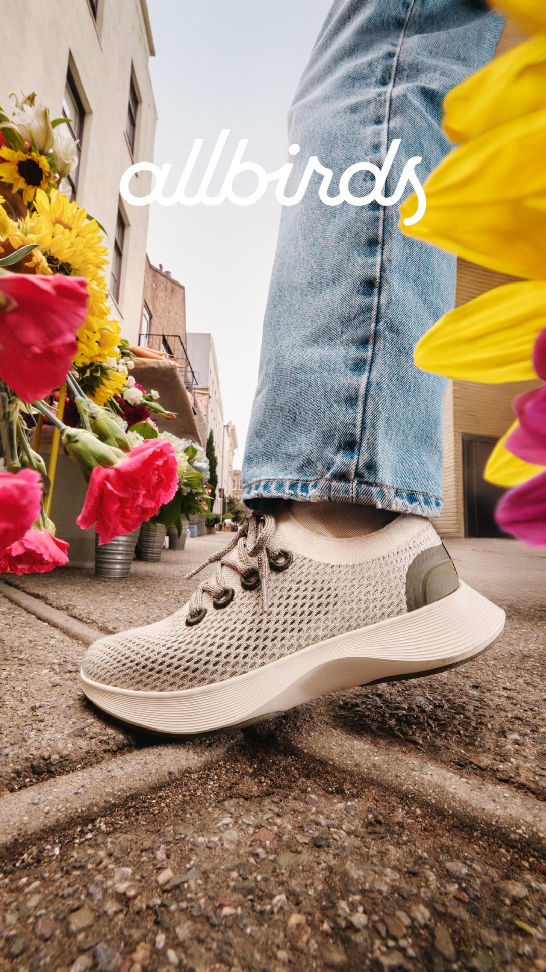 Allbirds Facebook ad