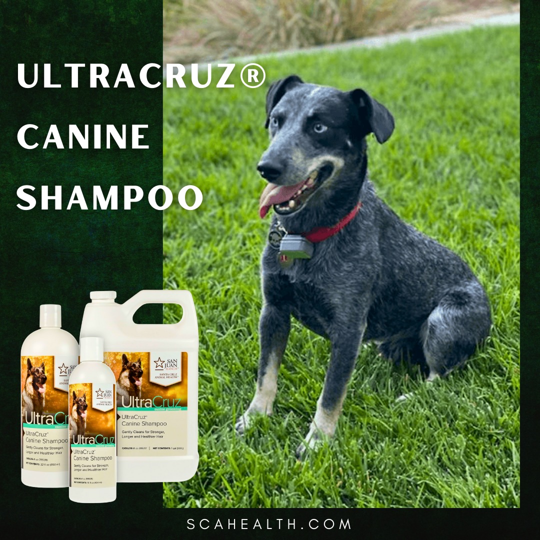 UltraCruz Facebook ad: Canine Shampoo for Dogs, UltraCruz | Santa Cruz Animal…