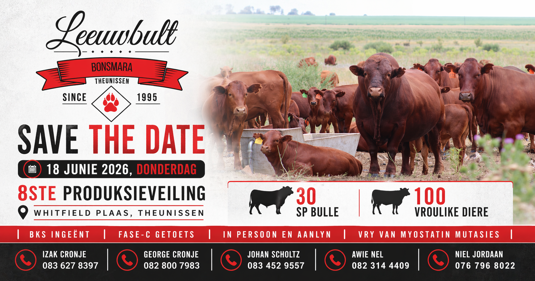 Leeuwbult Bonsmara Facebook ad: Leeuwbult Bonsmaras