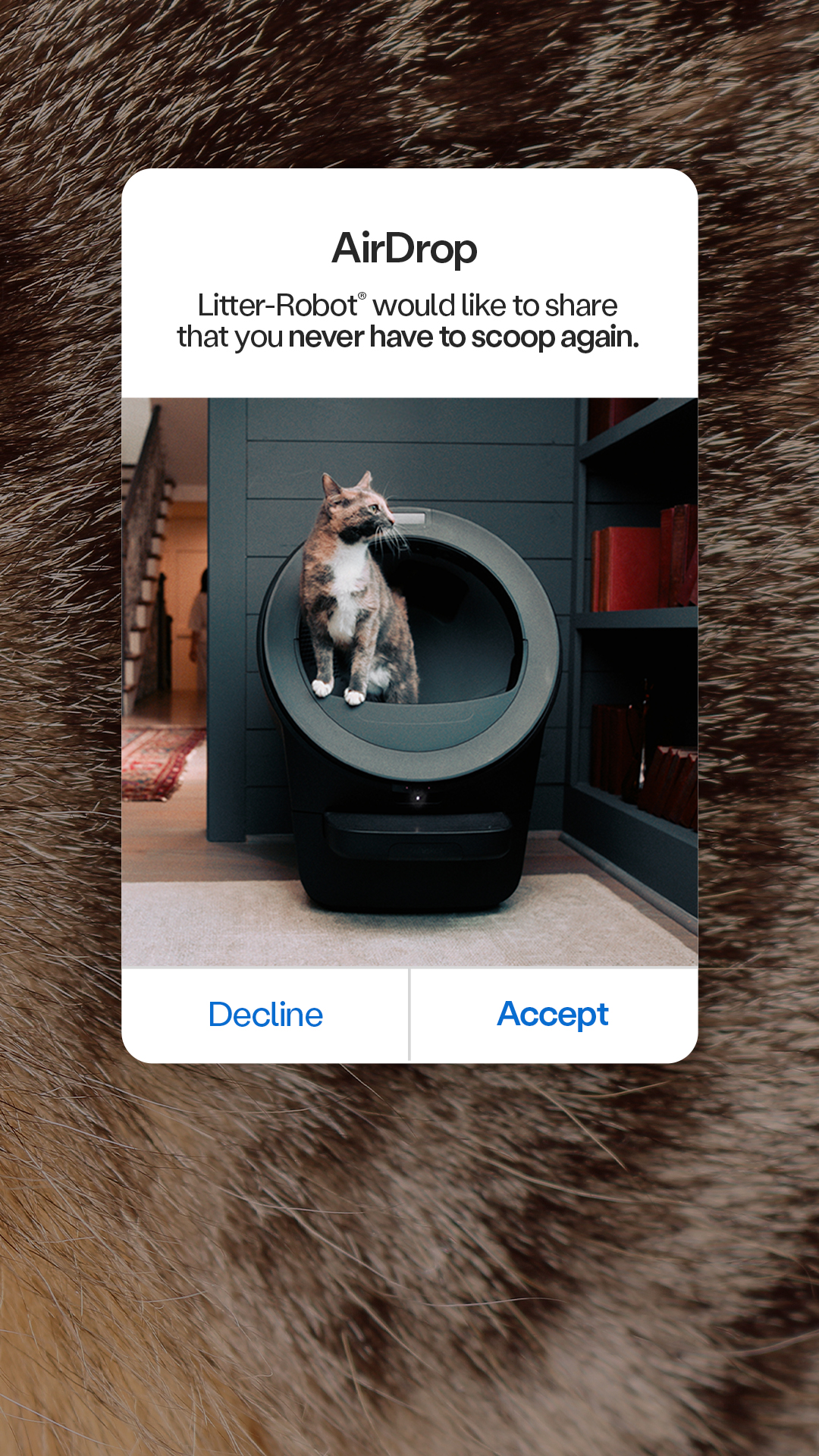 Litter-Robot by Whisker Facebook ad