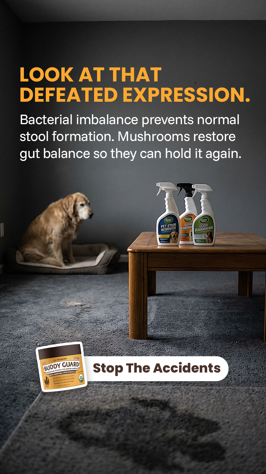 Petsmont Facebook ad