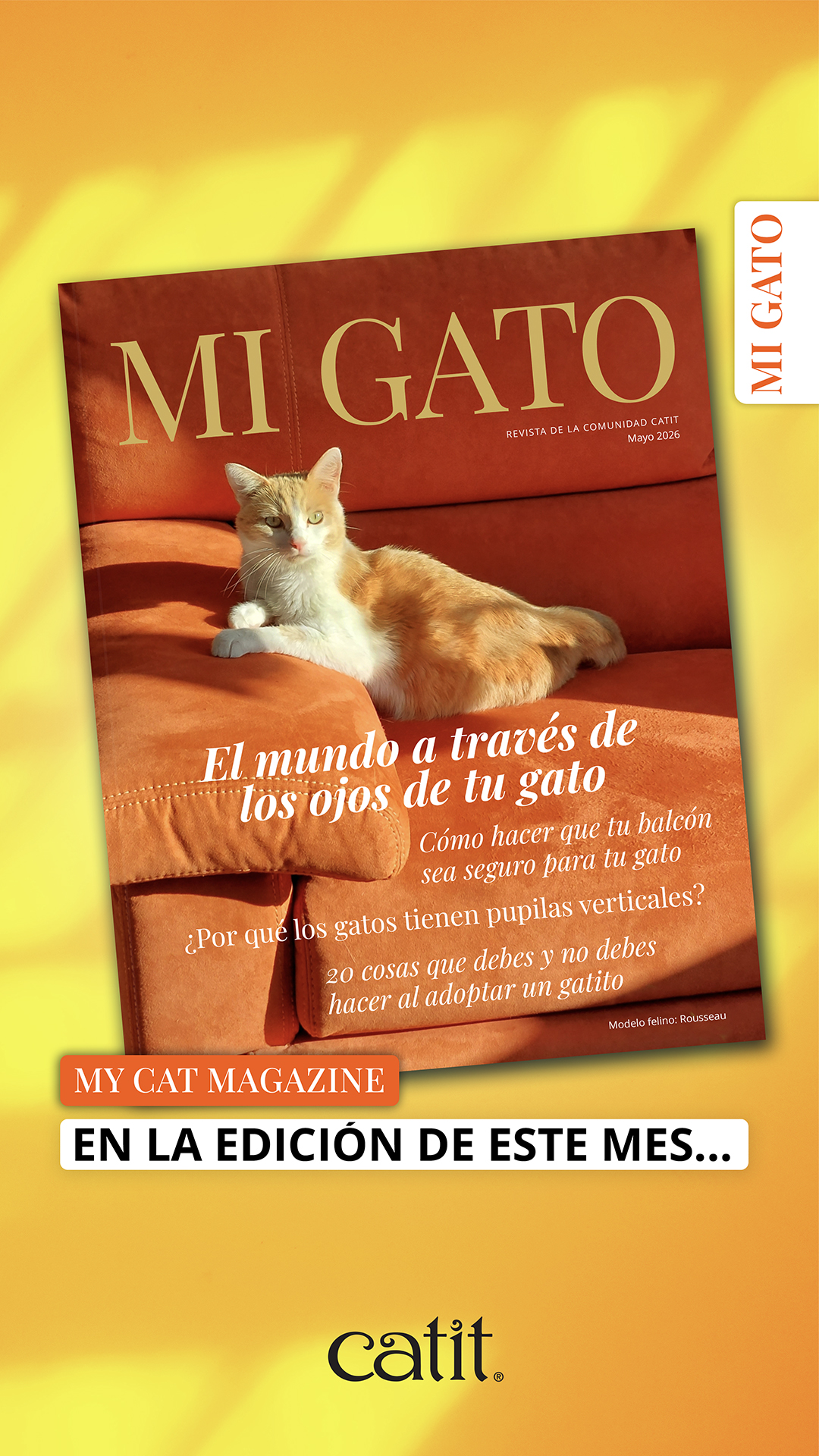 Catit España Facebook ad