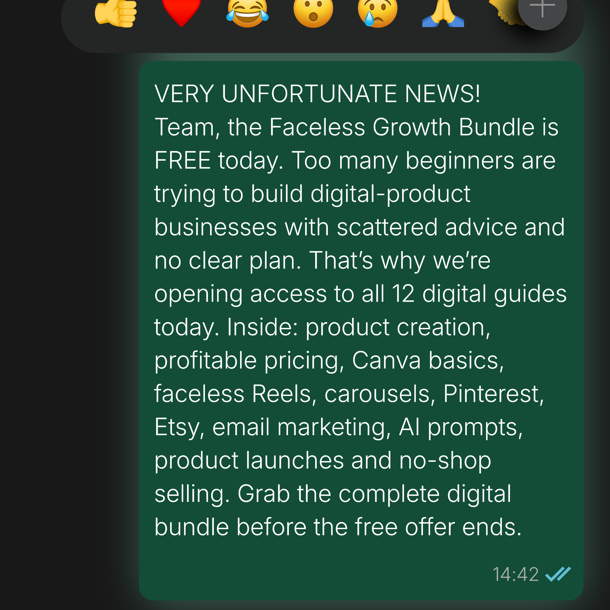 Faceless Profit Facebook ad