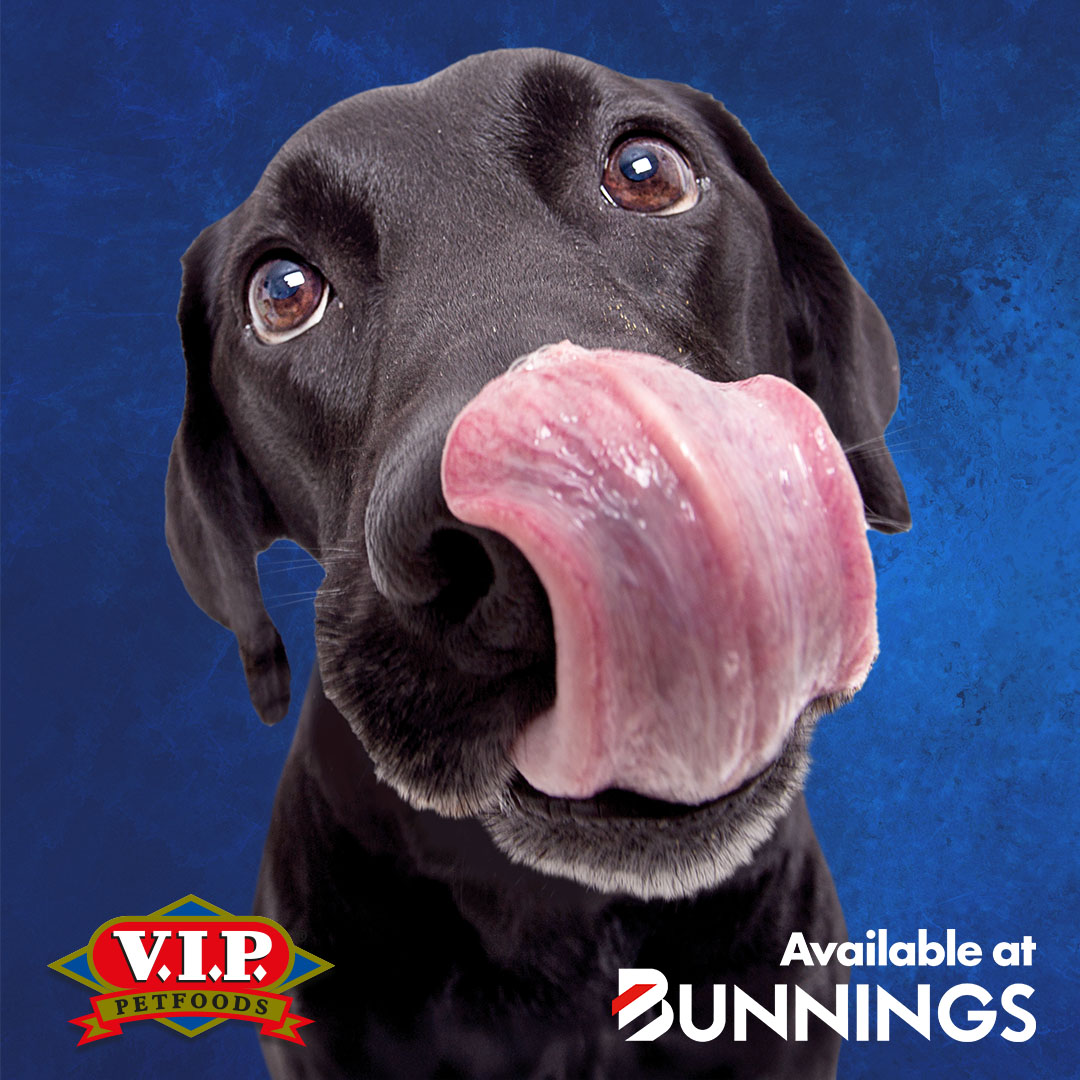 Bunnings Warehouse Australia Facebook ad