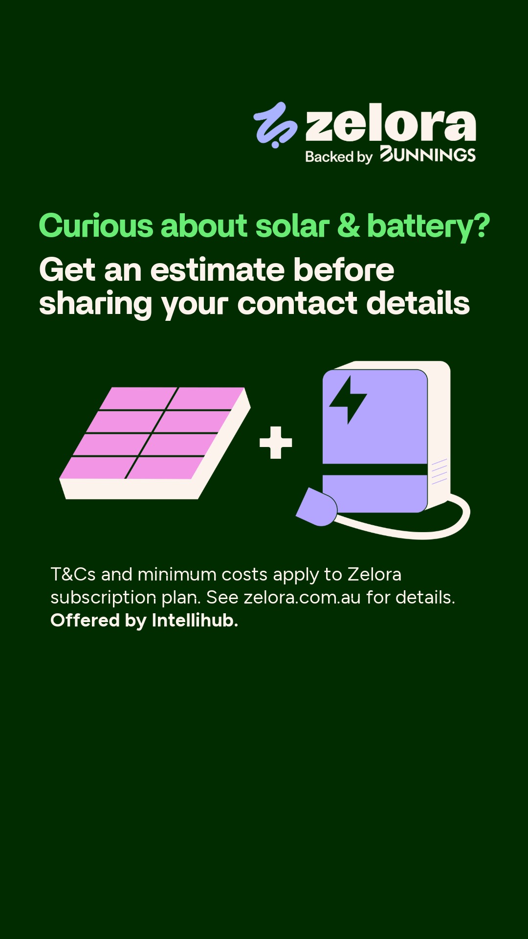Bunnings Warehouse Australia Facebook ad