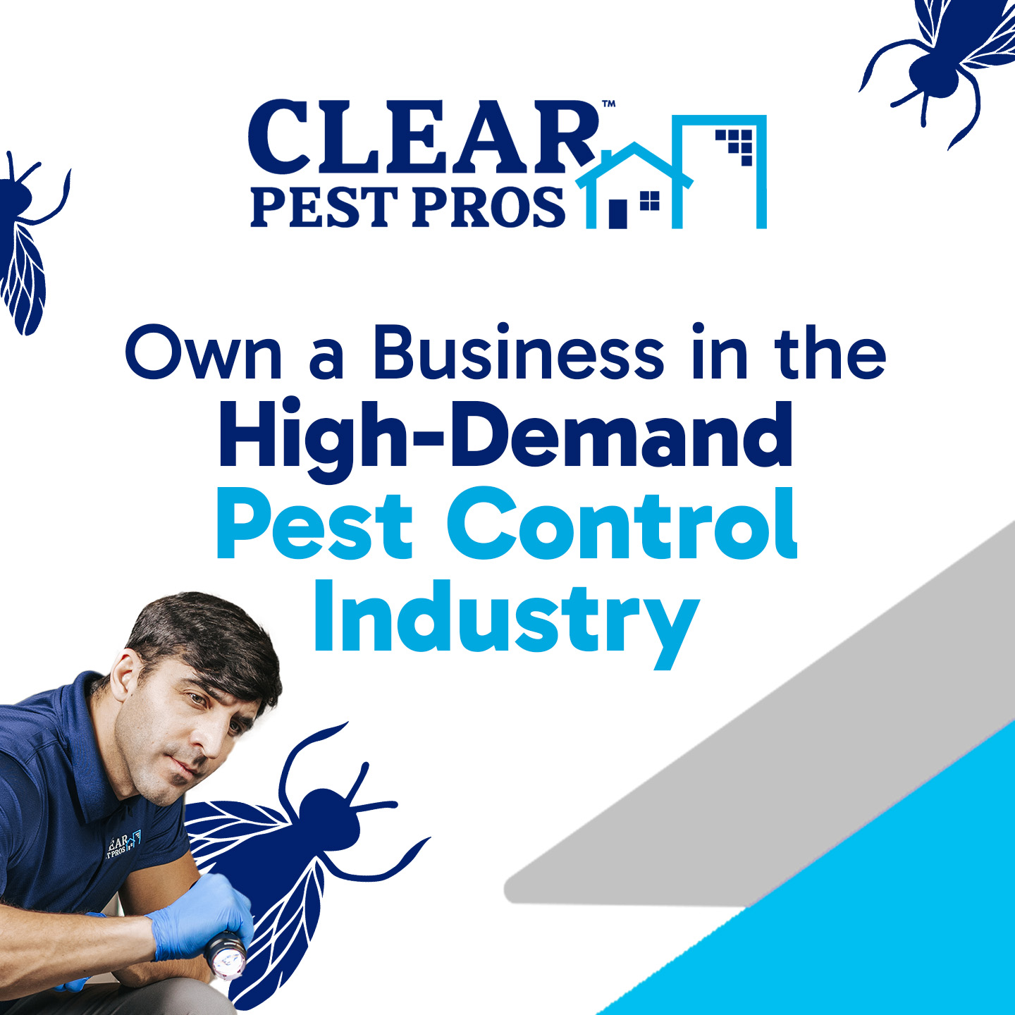 Clear Pest Pros Facebook ad: Pest infestations often seem to pop up out…
