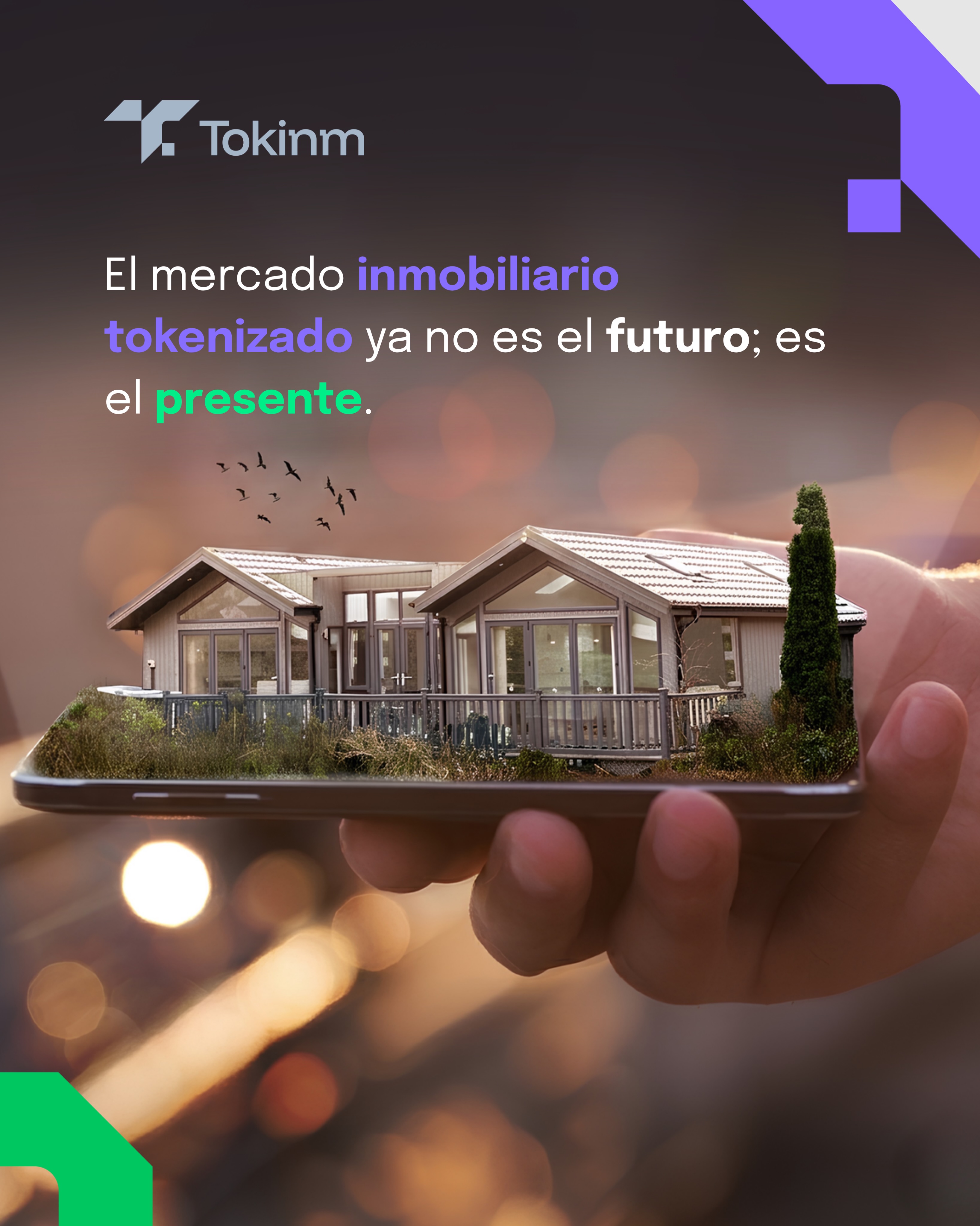 TokinmOficial Facebook ad: Inicio | Tokinm | Tokinm