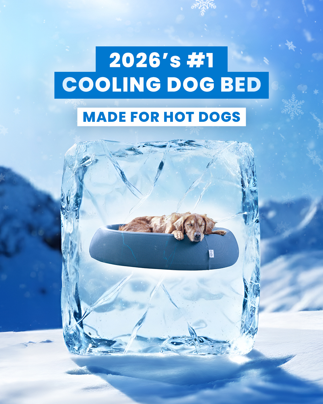 The Brooklyn Facebook ad