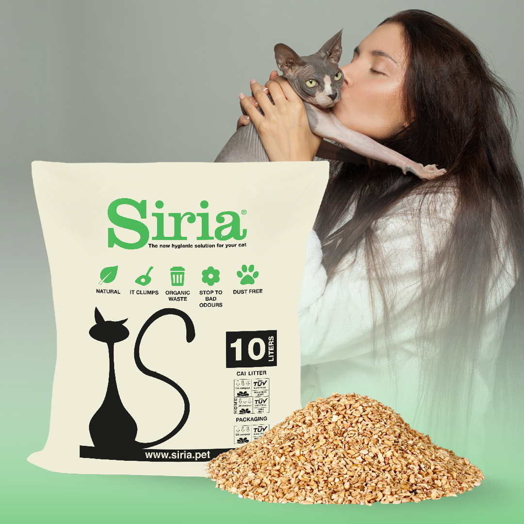 Siria Facebook ad