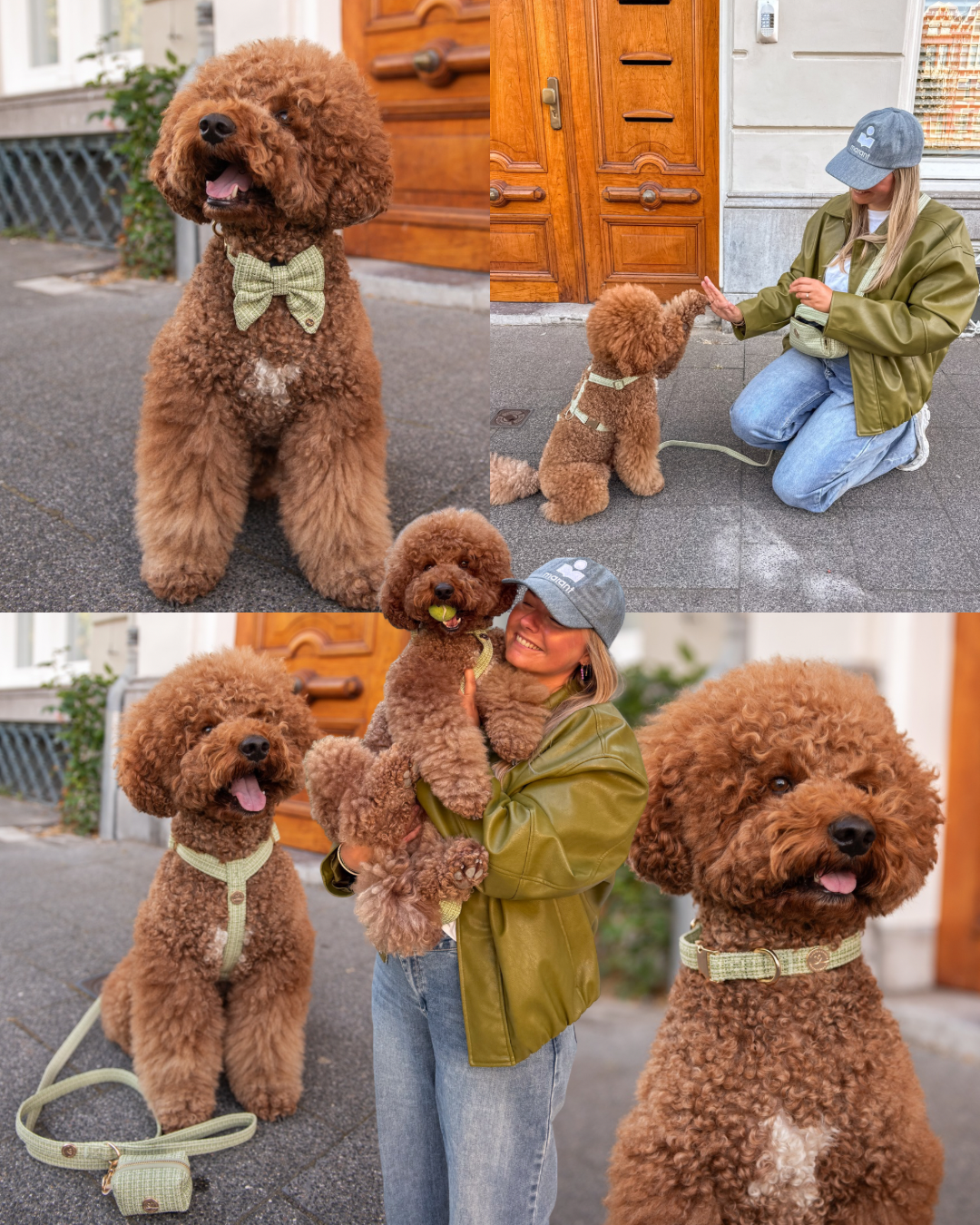 floofsandcookies Facebook ad: The KAE Collection