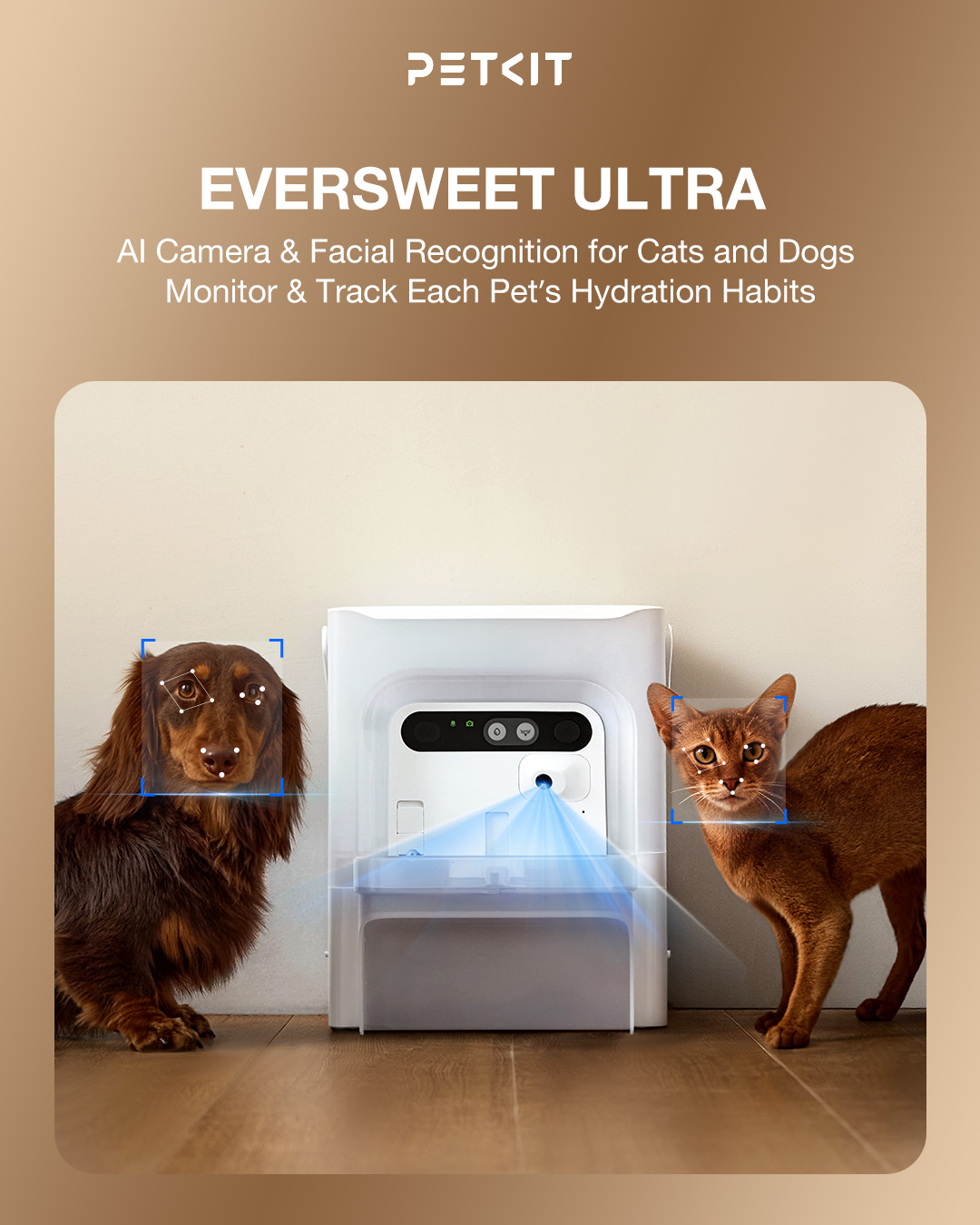 Petkitofficial Facebook ad