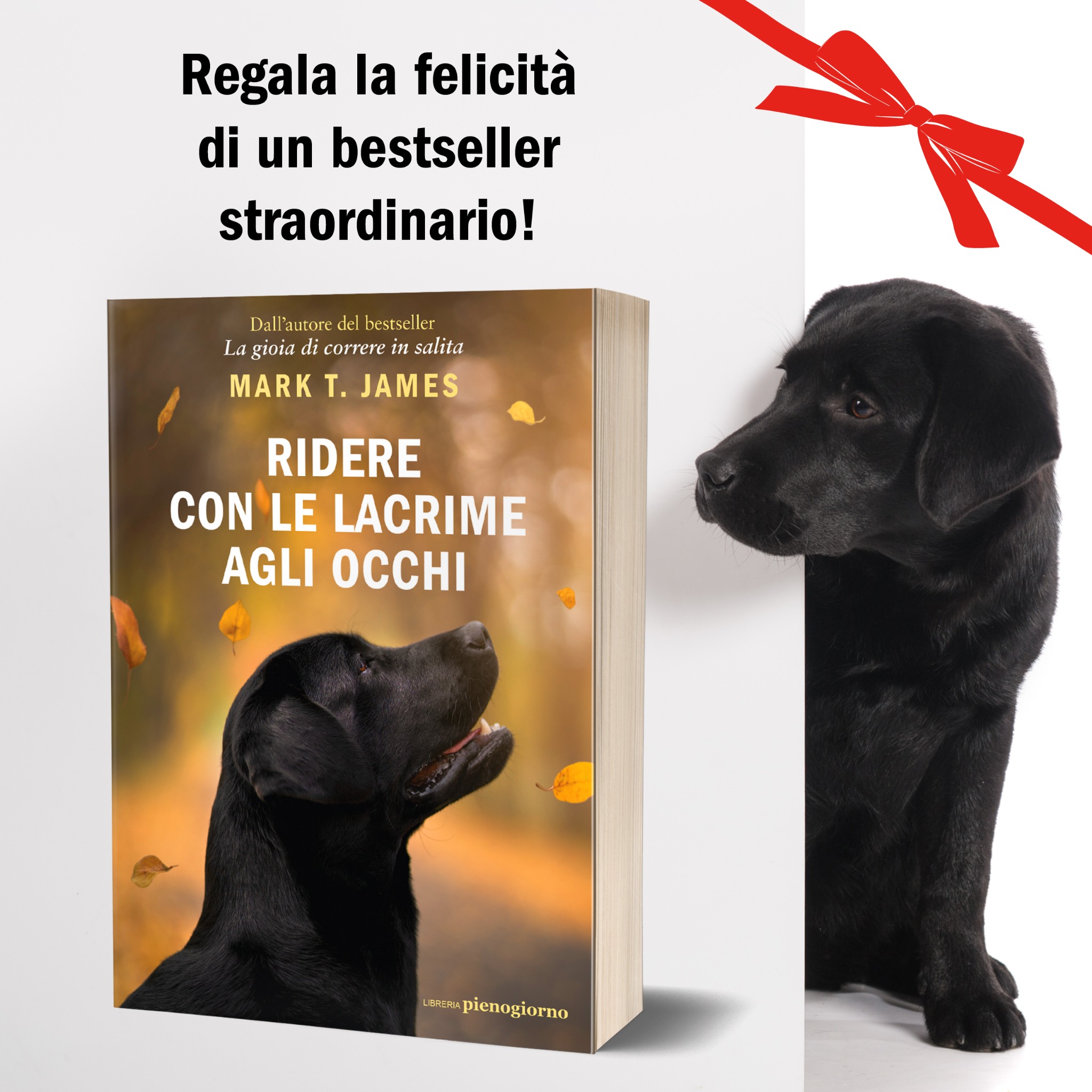Ridere con le lacrime agli occhi - Il libro Facebook ad