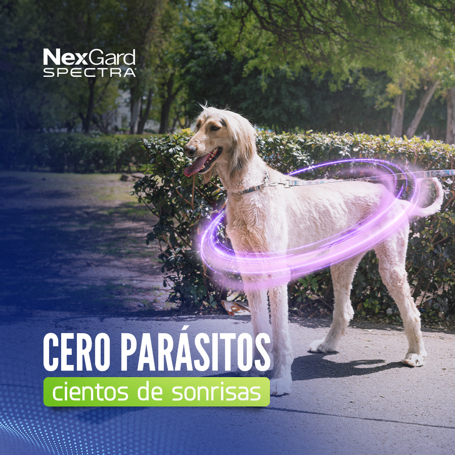 Distribuidora Corsicana - Tienda de Mascotas CDMX Facebook ad: ᐅ Tienda de Mascotas en México | Distribuidora Corsicana