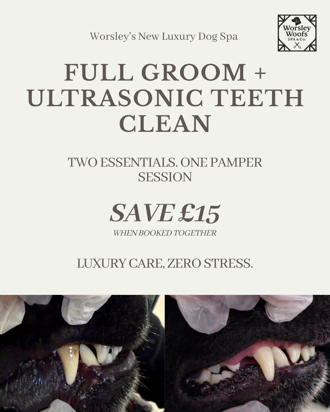 Worsley Woofs Spa & Co. Facebook ad: February Dog Grooming & Dental Offer
