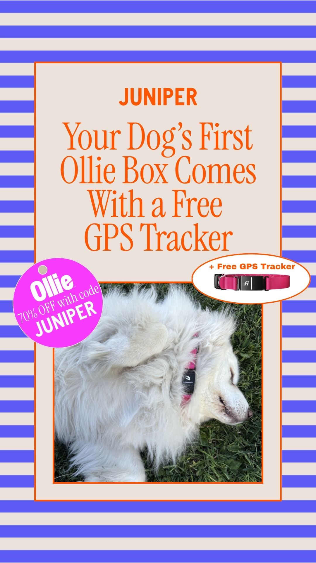 Juniper- The best online community for dog parents Facebook ad