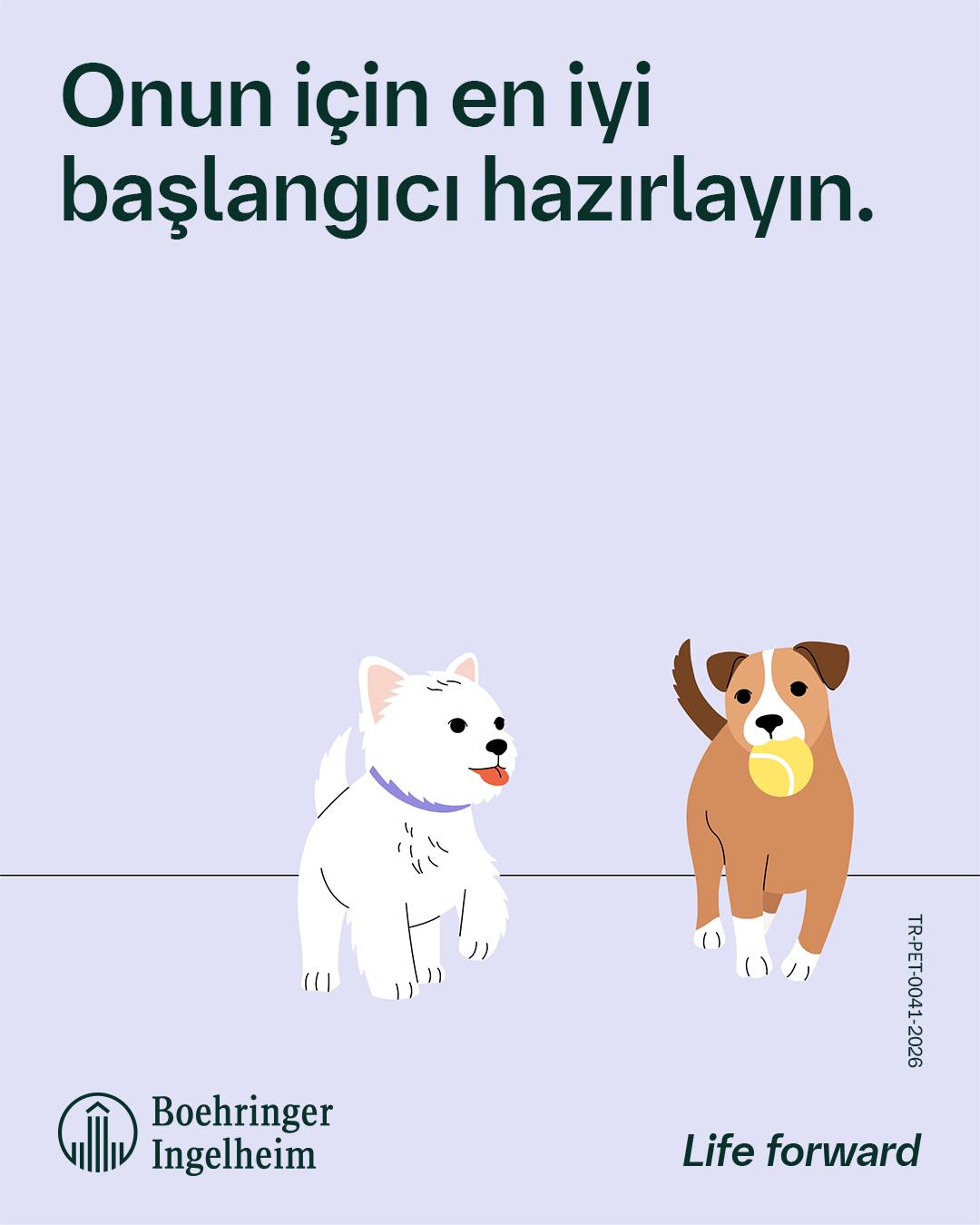 Boehringer Ingelheim Facebook ad: Köpeğinizin yaşam evreleri: Yavru köpekten yetişkin ve…