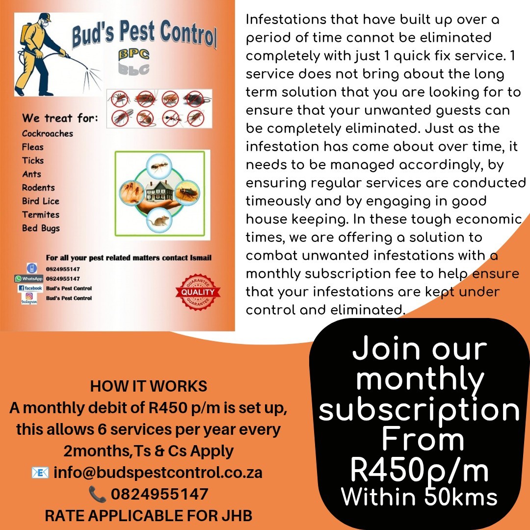 Buds Pest Control Facebook ad: Chat on WhatsApp