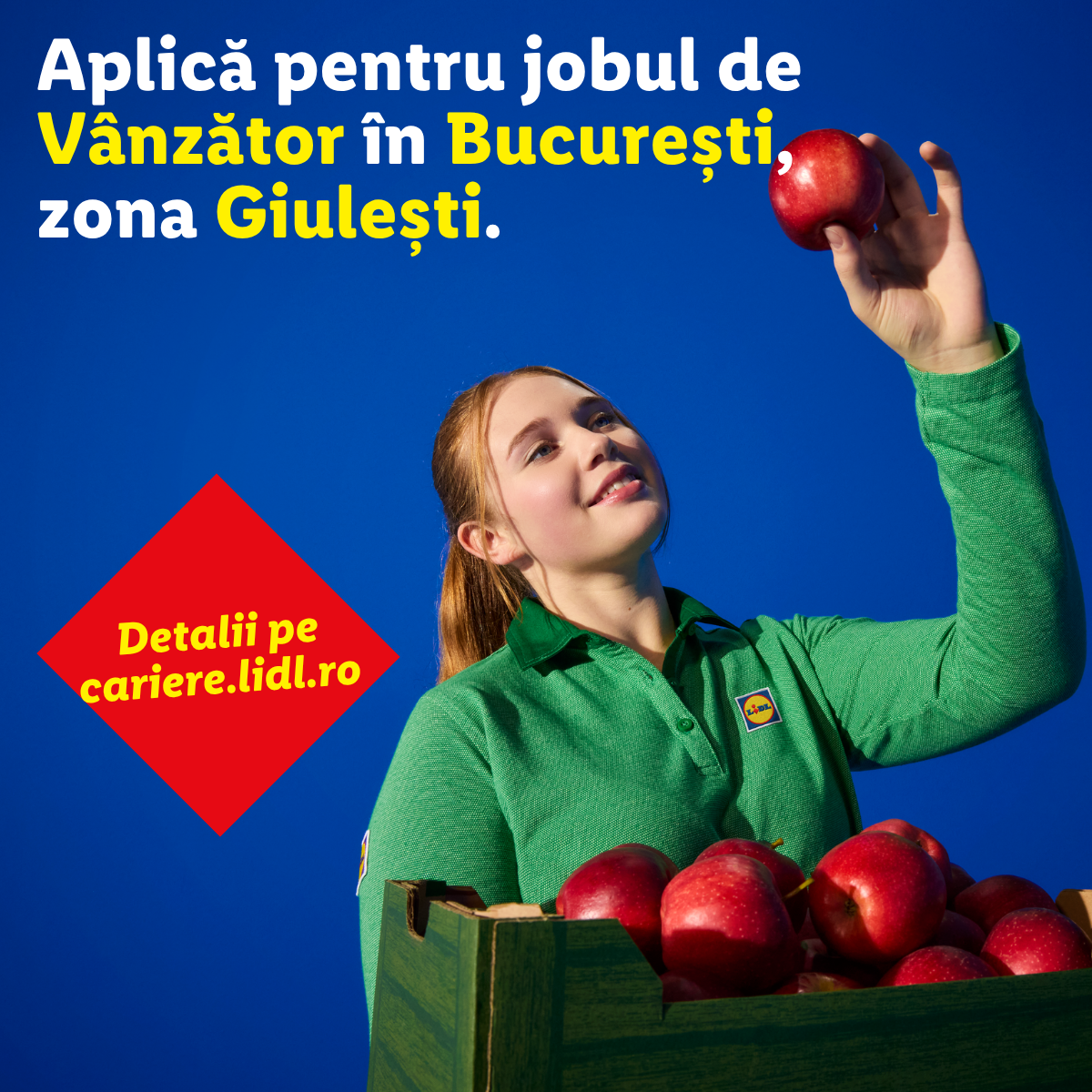 Lidl Romania Facebook ad: Cauți un job cu beneficii care Hai în…