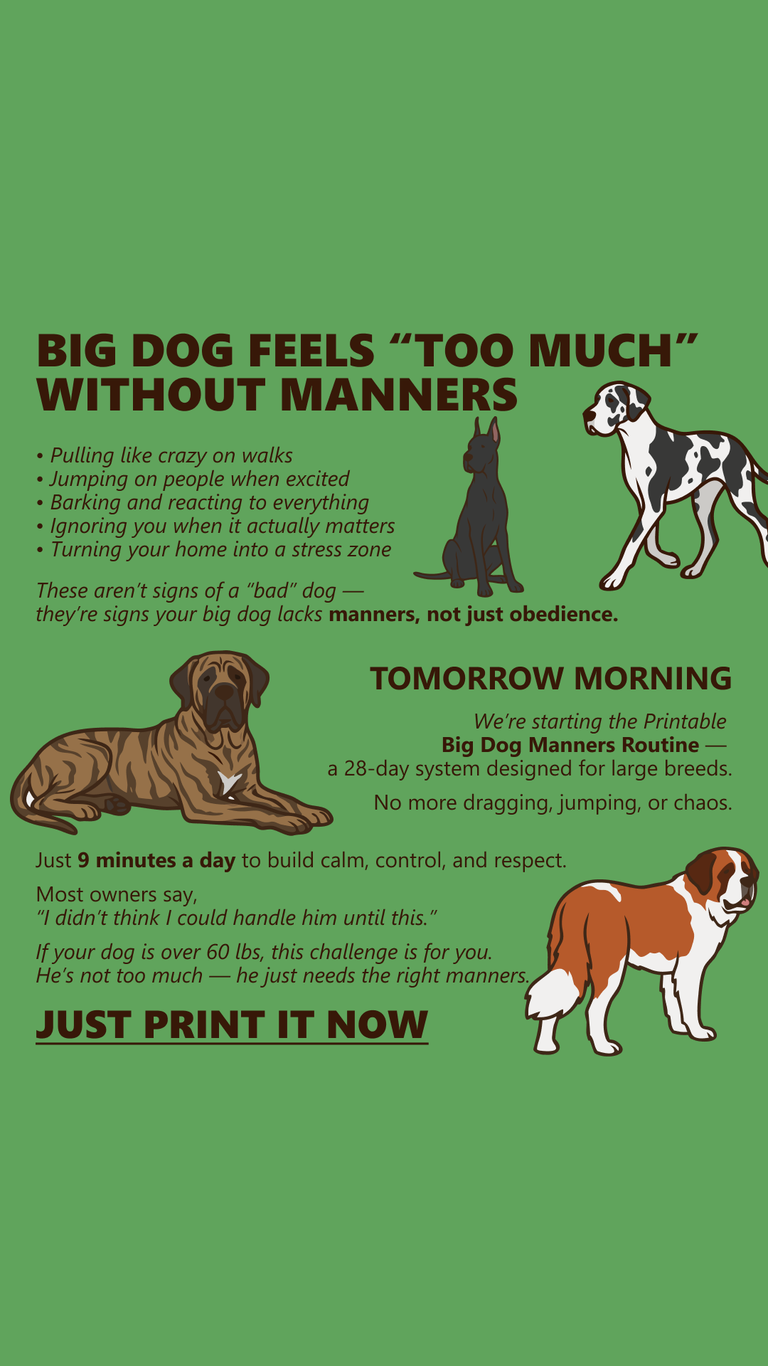 Cooper Vance Facebook ad: Start Dog Obedience Challenge