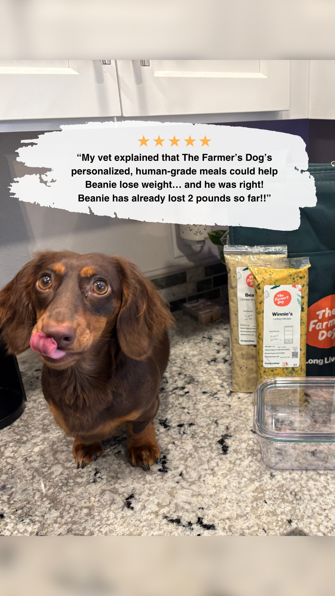 Rounds Of A Paws Facebook ad