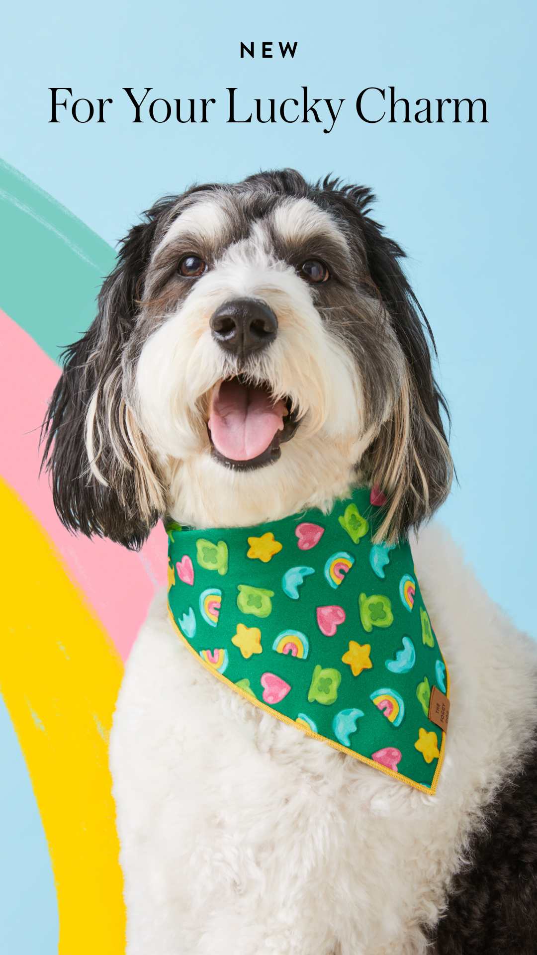 The Foggy Dog Facebook ad